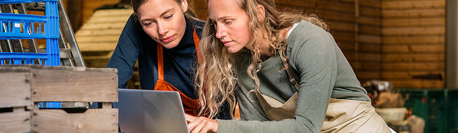 Online Banking Firmenkunden Volksbank Brenztal Eg